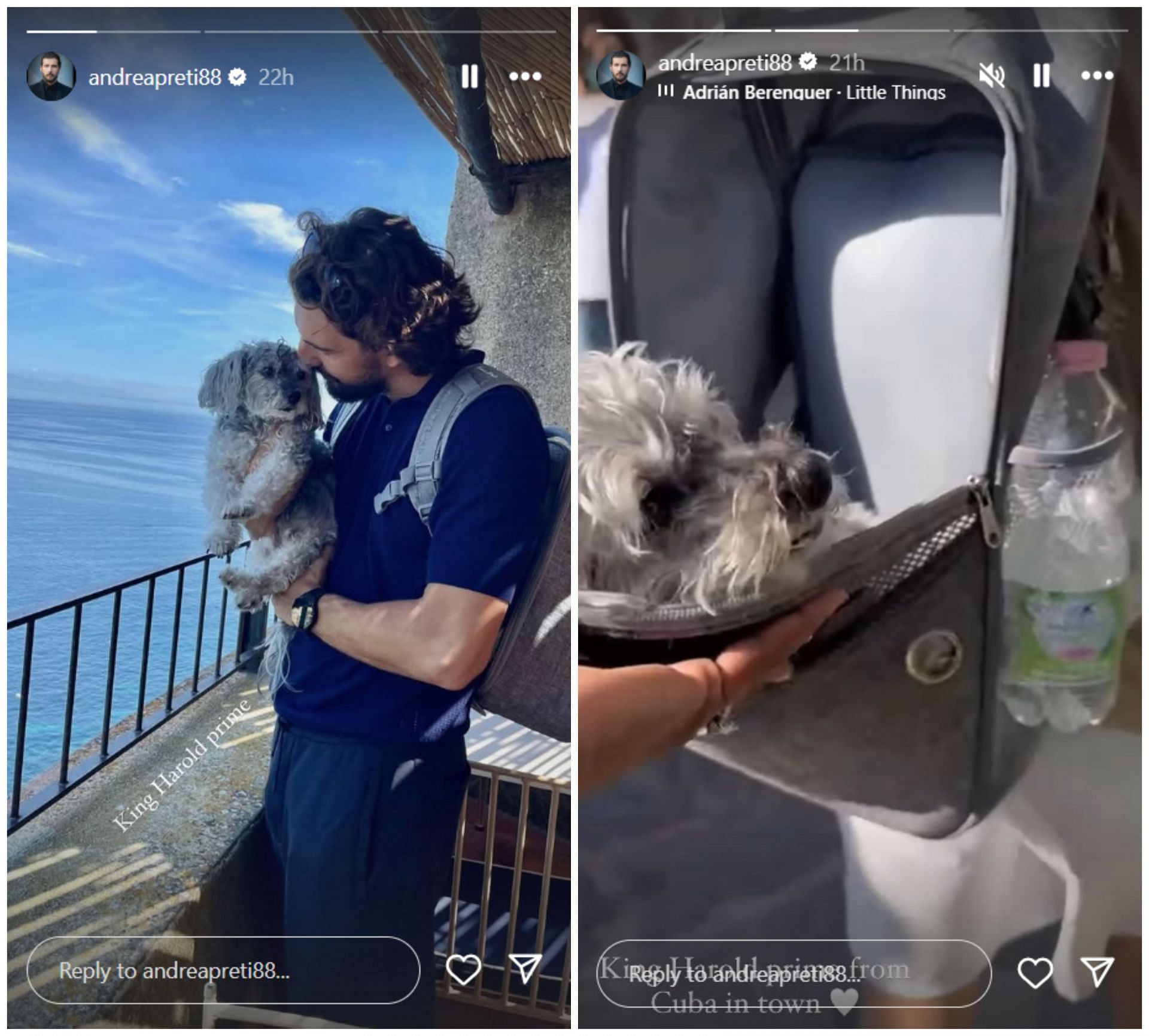 Venus Williams and Andrea Preti vacation with their dog in Cuba; Instagram - @andreapreti88